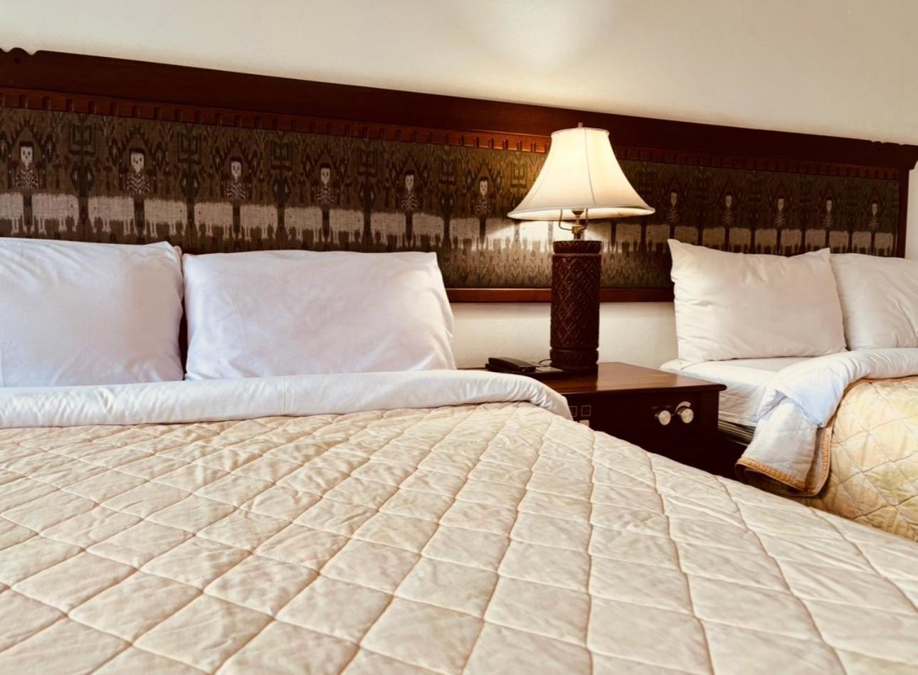 Royal Mekong Riverside Hotel ノーンカーイ エクステリア 写真